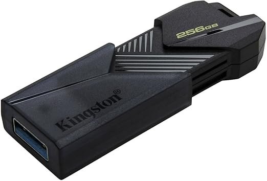 Pendrive Kingston 256G Usb 3.2